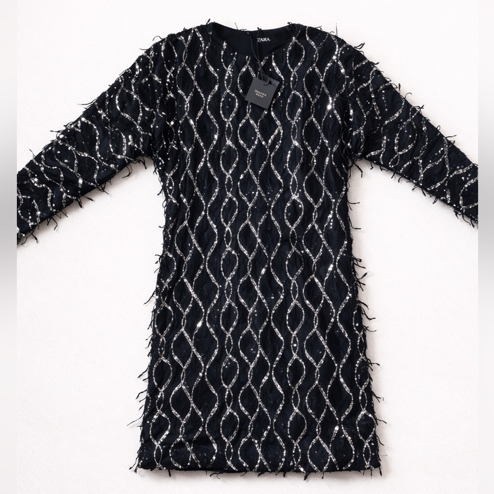 ZARA MINI DRESS WITH FRINGING AND SEQUINS